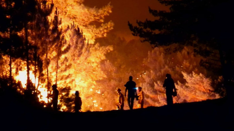 INCENDIO EN MONSAGRO