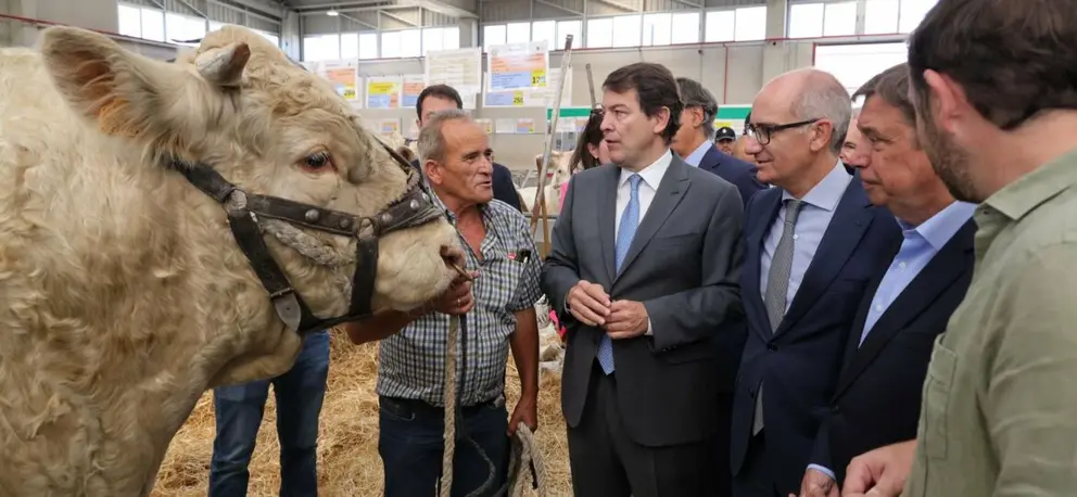 Feria de Salamanca