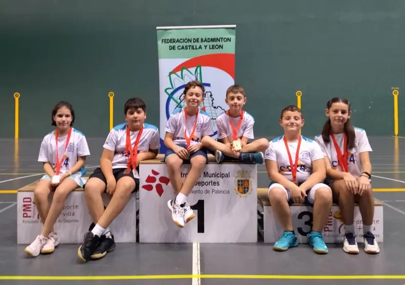 DELEGACIÓN SORIANA DE BADMINTON