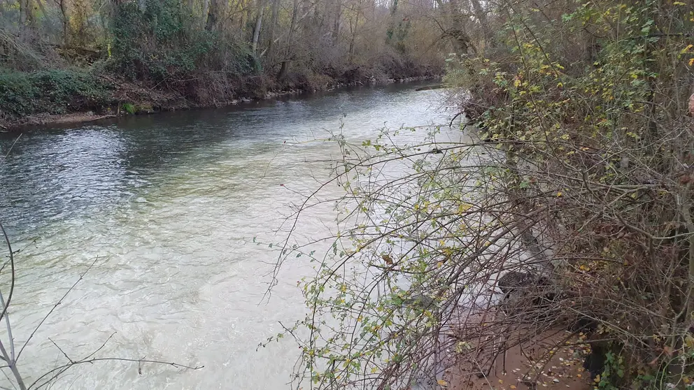 Río Duero turbio con vertidos tunel EDAR soria_sinova