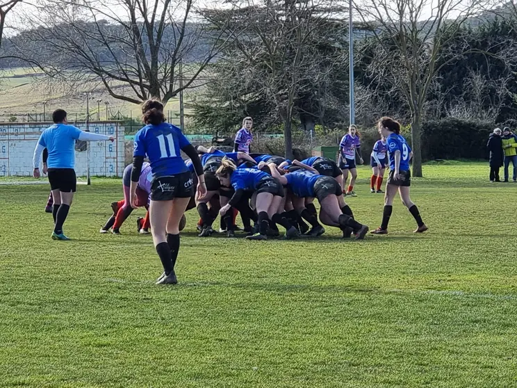 Pingüinas Rugby Burgos