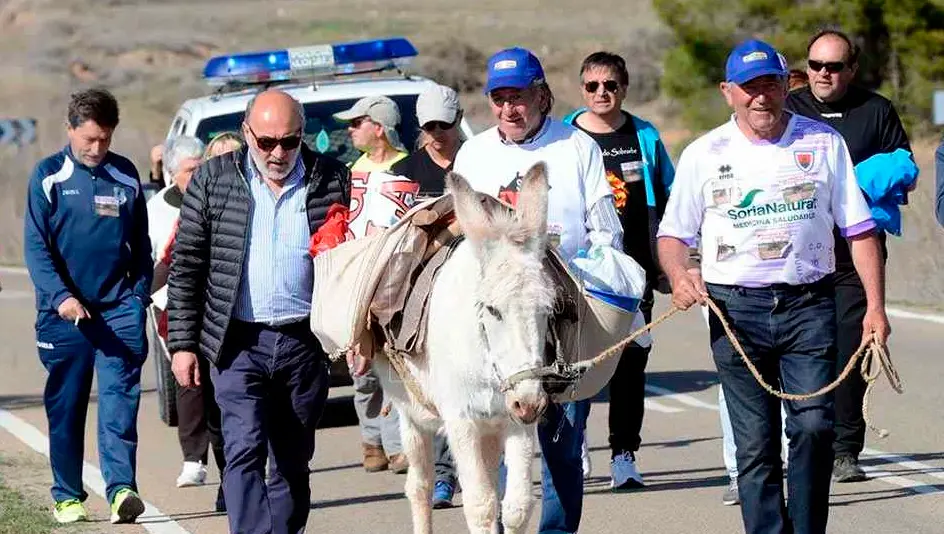 ALCALDE DE TORRUBIA Y BURRA