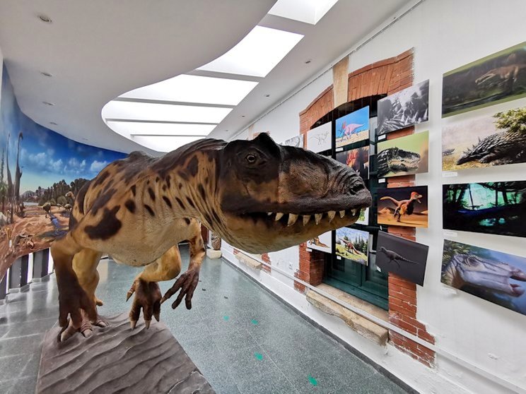 Museo dinosaurios