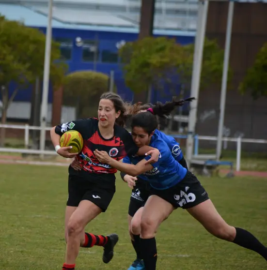 Pingüinas Rugby Burgos