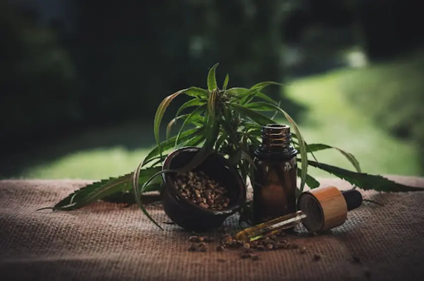 Guía completa para elegir entre aceites de CBD de espectro completo o amplio