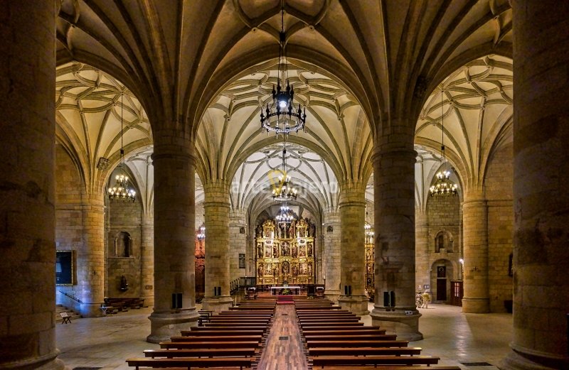 Concatedral-de-San-Pedro-de-Soria-interior