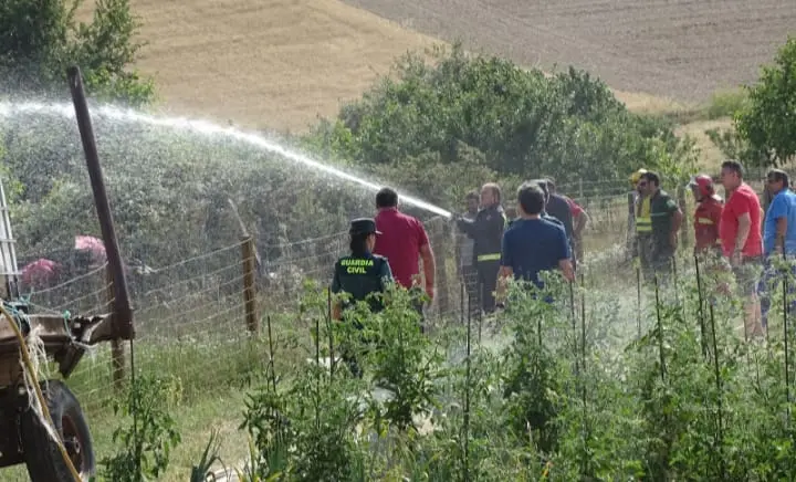 Incendio Doña Santos 1