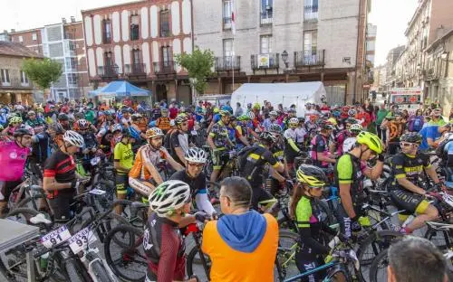 Marcha Demandasaurus