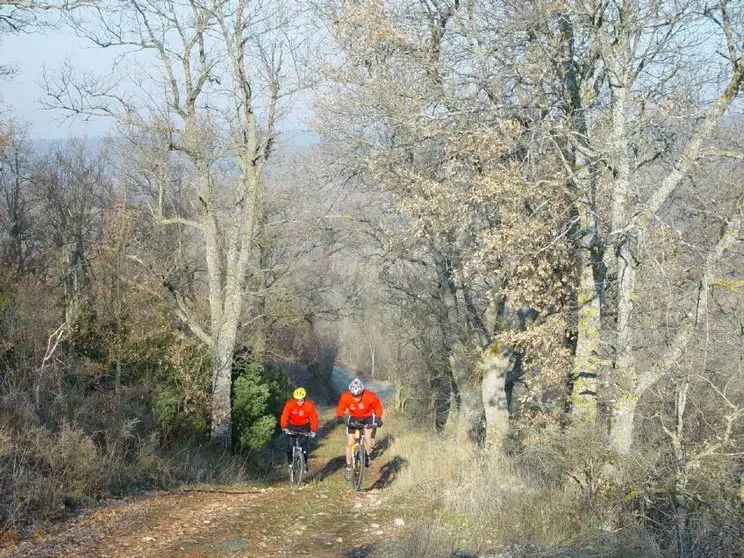 Circuito Provincial BTT de Burgos