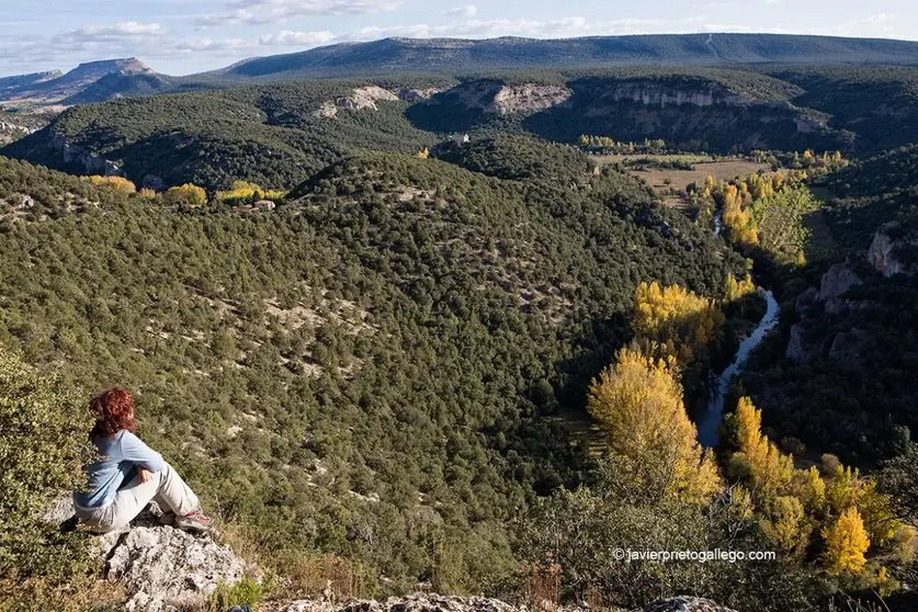 FOTO PARAJE DE SABINARES DEL ARLANZA