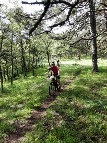 BTT Comarca Pinares
