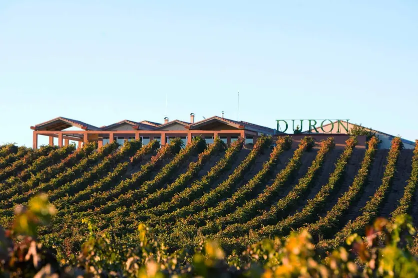  Bodegas Durón: Una de las mejores bodegas a visitar en Ribera del Duero 