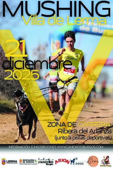 Diputaci&oacute;n de Burgos