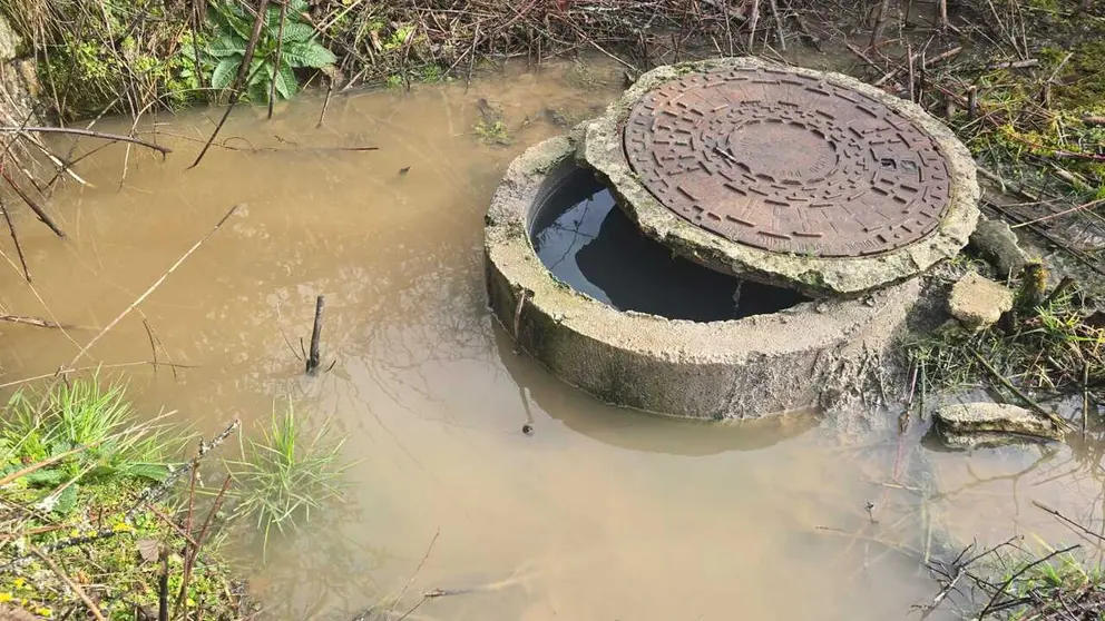 c9f02758-4d3d-4ea1-a485-912c46b7f124