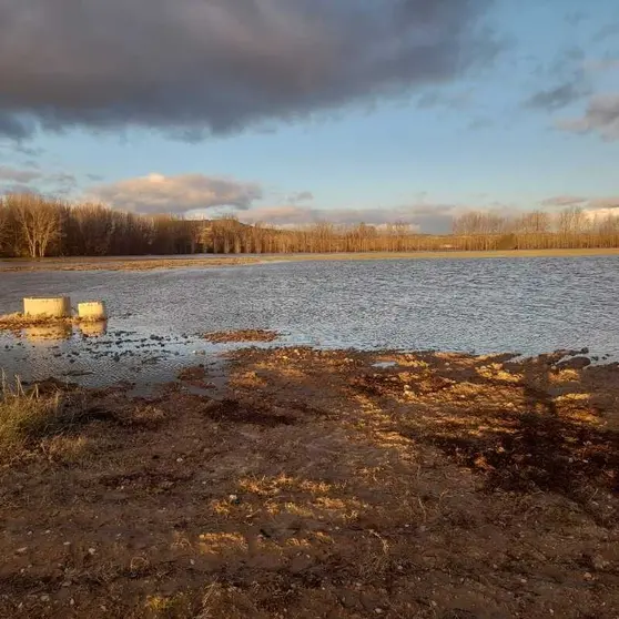 m PHOTO-2026-02-17-08-30-55