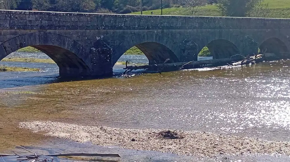 Un tronco bloqueaba varios ojos del puente