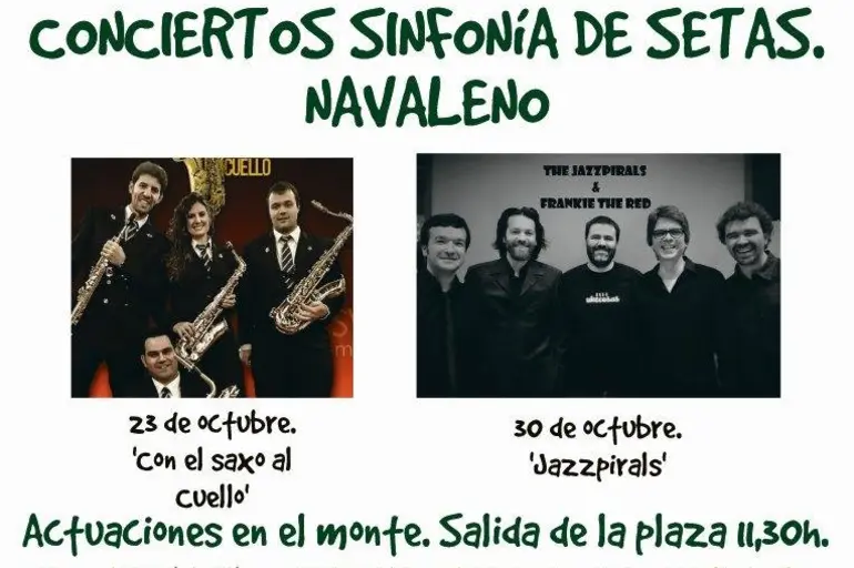 El cuarteto 'Con el Saxo al Cuello' abre el ciclo 'Sinfonía de Setas' el domingo 23 en Navaleno El cuarteto 'Con el Saxo al Cuello' abre el ciclo 'Sinfonía de Setas' el domingo 23 en Navaleno