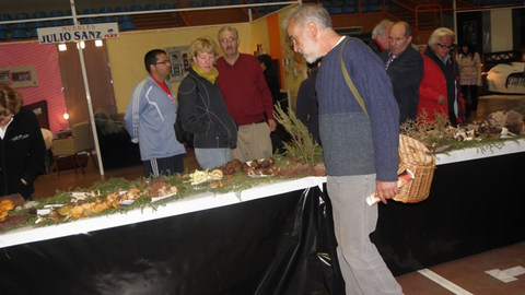 Expomicologicasanleonardo3 [640x480]