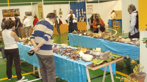 Expomicolognavaleno [640x480]