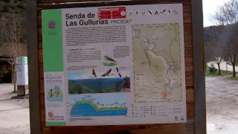 gullurias