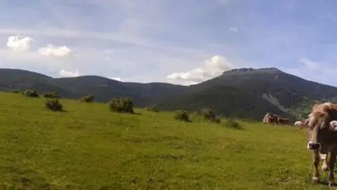 Imagenmontenegro