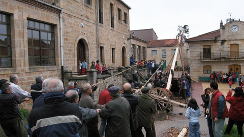 PINO MAYO PINILLA DE LOS BARR [640x480]