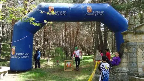 ORIENTACION2_652x489