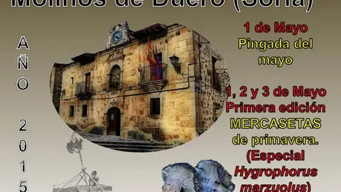 PUBLICIDADPAG8