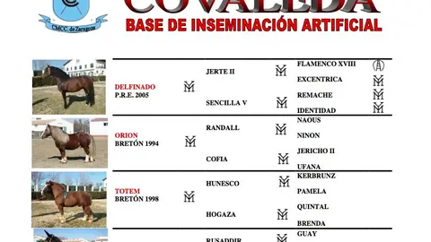 Documento2 copia