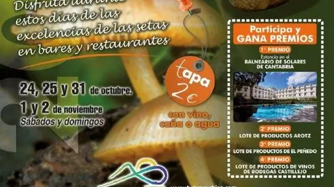 CARTEL TAPAS MICOLOGICAS