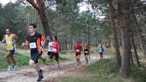 carrera cuatro setas