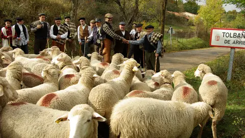 Trashumancia. T.S._02nov2013_0135