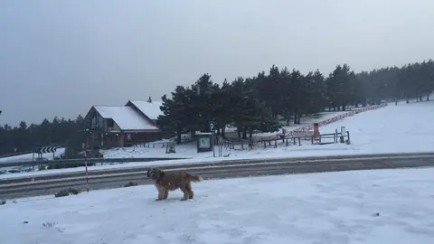 Nieve santa ines 1