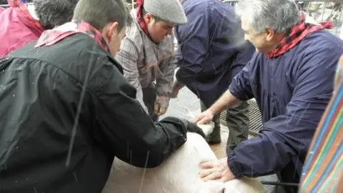 MATANZA 1