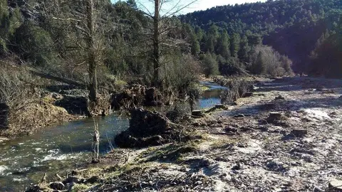 2CORTA CHOPOS PARQUE NATURAL RIO LOBOS_ORILLA_12