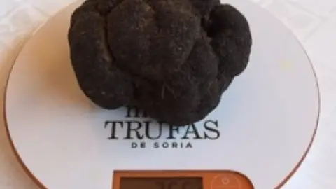 feria_trufa_abejar_7