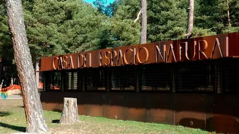 museo del bosque 1