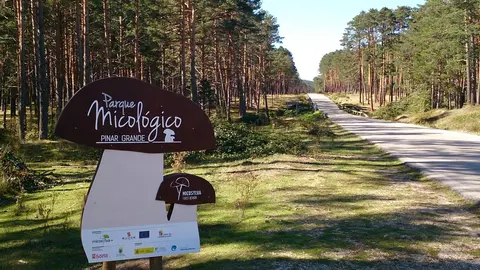 parque micológico Pinar Grande