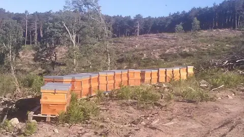 Fotopag9