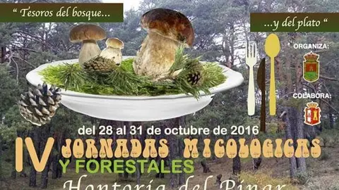 FB_IMG_1477264114042#1