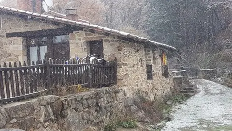20161123_093526
