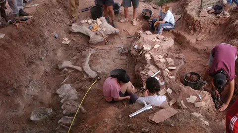 excavacion en el oterillo Bloque con vértebras a la derecha de la imagen