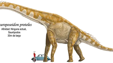 Sauroposeidon