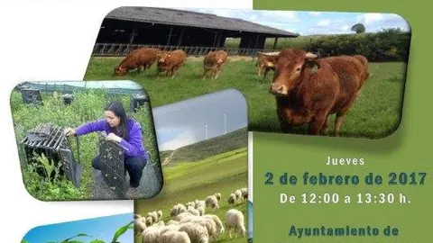 Jornada Salas 2 febrero (1)