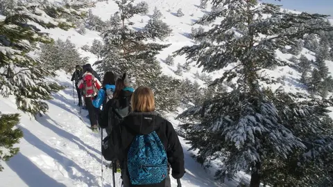 paseo-en-raquetas-de-nieve-7576
