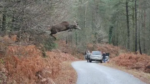 17499145_1321929357875442_8835446388512505248_n