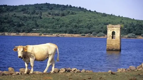 embalsecuerdadelpozo