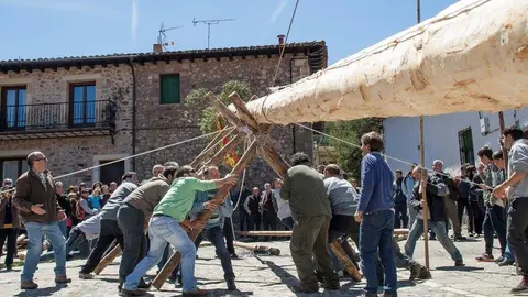 IMG_6539 Pingada del Mayo en Molinos de Duero 2017. Foto Angel Leiva