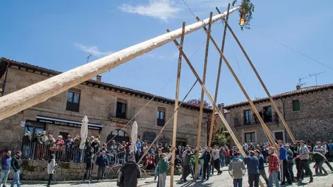 IMG_6587 Pingada del Mayo en Molinos de Duero 2017. Foto Angel Leiva