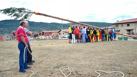 Fotopag21